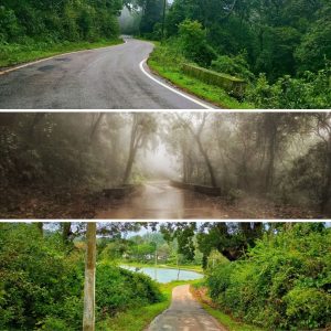 Which route should I take from Bangalore to Coorg? - Turuhi