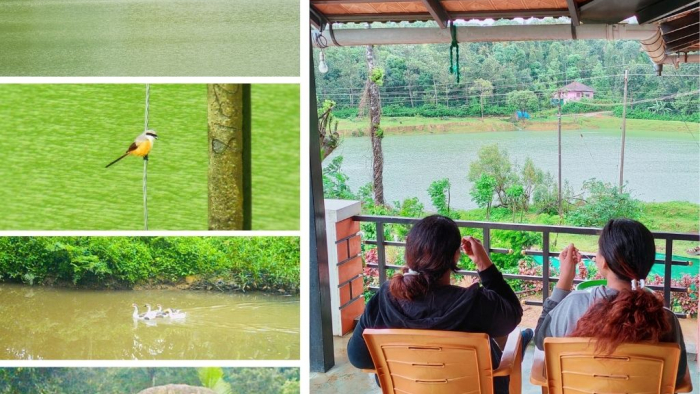 Why-are-Homestays-taking-over-Resorts-in-Coorg