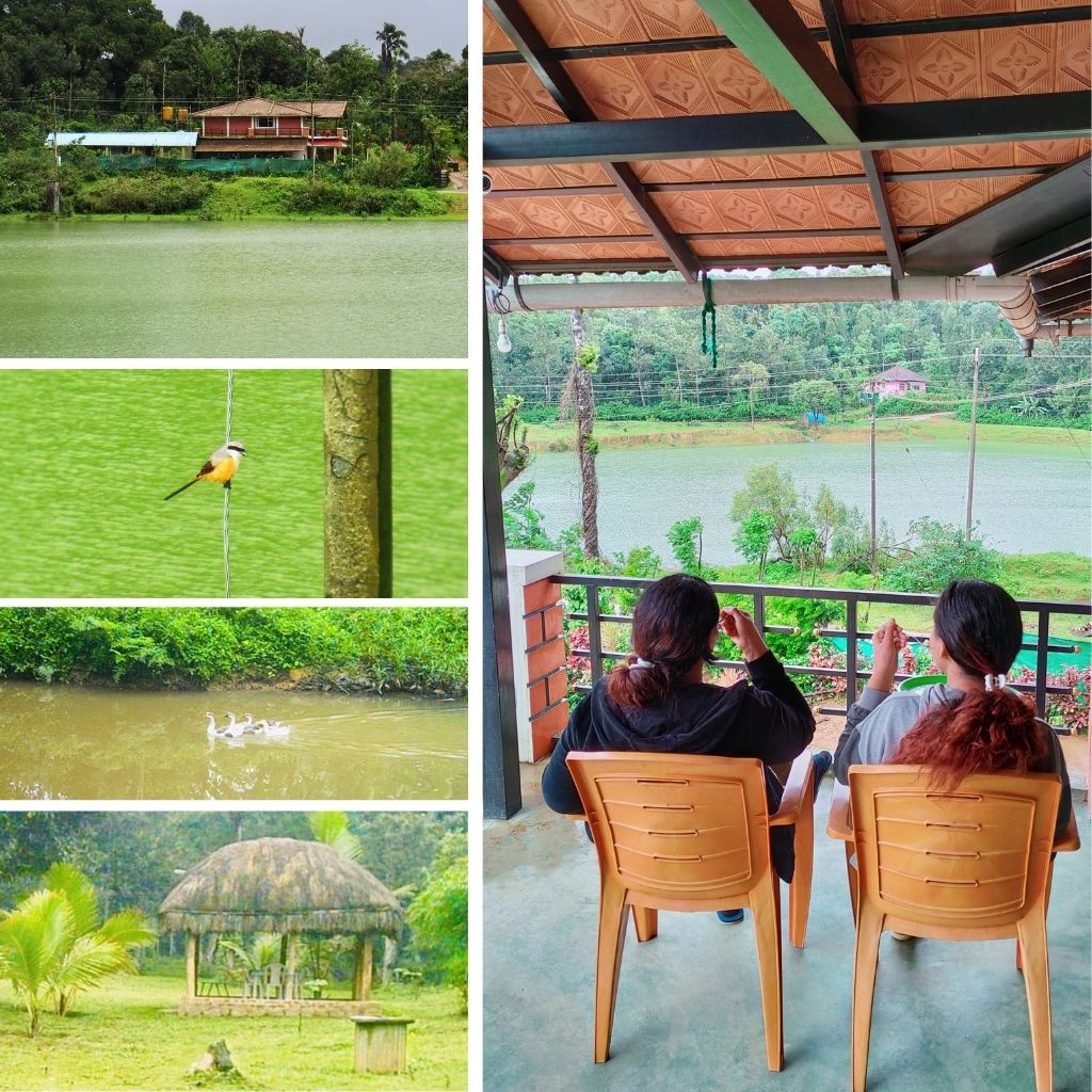 Why-are-Homestays-taking-over-Resorts-in-Coorg