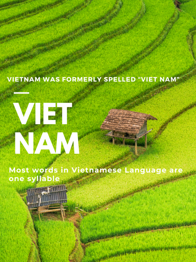 Rich cultural diversity of Vietnam
