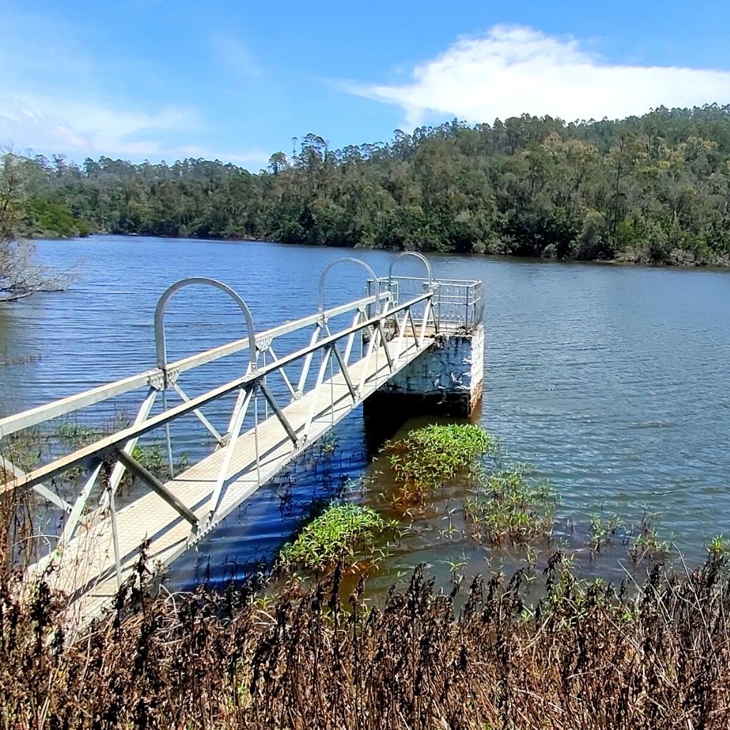 Secluded Berijam Lake near Kodaikanal