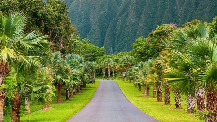 Hoomaluhia-Botanical-Garden-6-Best-Botanical-Gardens-in-Oahu-Hawaii-Turuhi