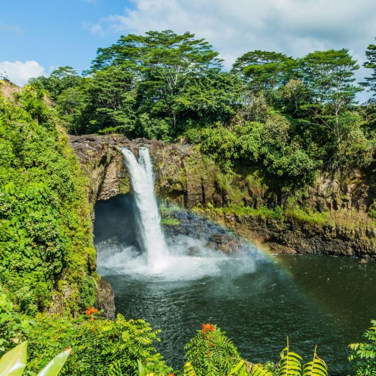 6 Best Botanical Gardens in O'ahu Hawaii Turuhi