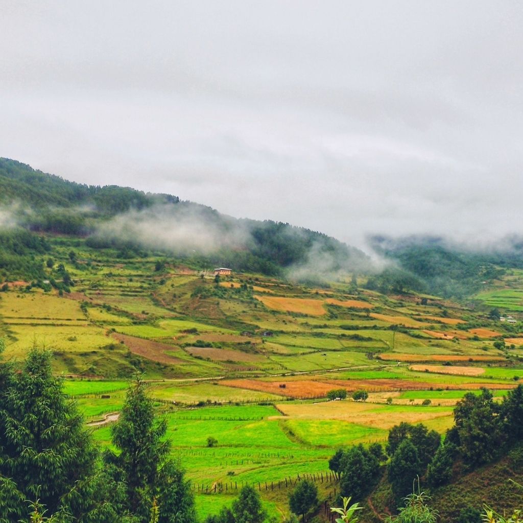 Beautiful green landscape of Ura Valley in Bhutan