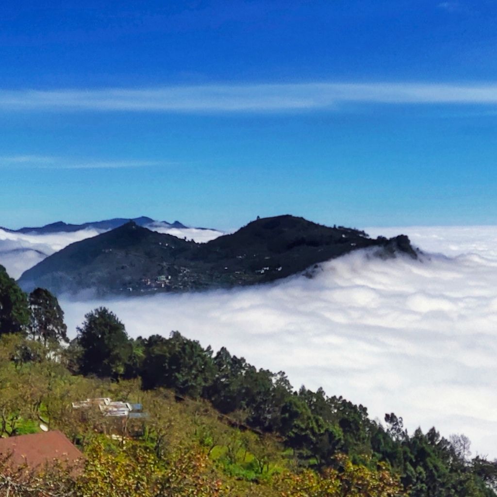 Mist-covered Vattakanal viewpoint in Kodaikanal