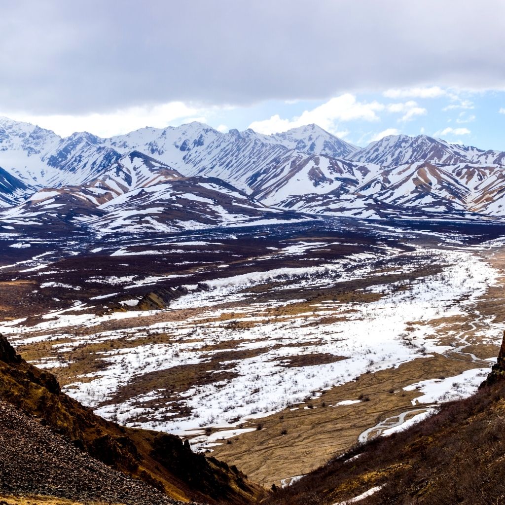 Visit Denali National Park in Alaska