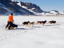 10-Bucket-list-Adventures-in-Alaska-Dog-Sledding-Turuhi