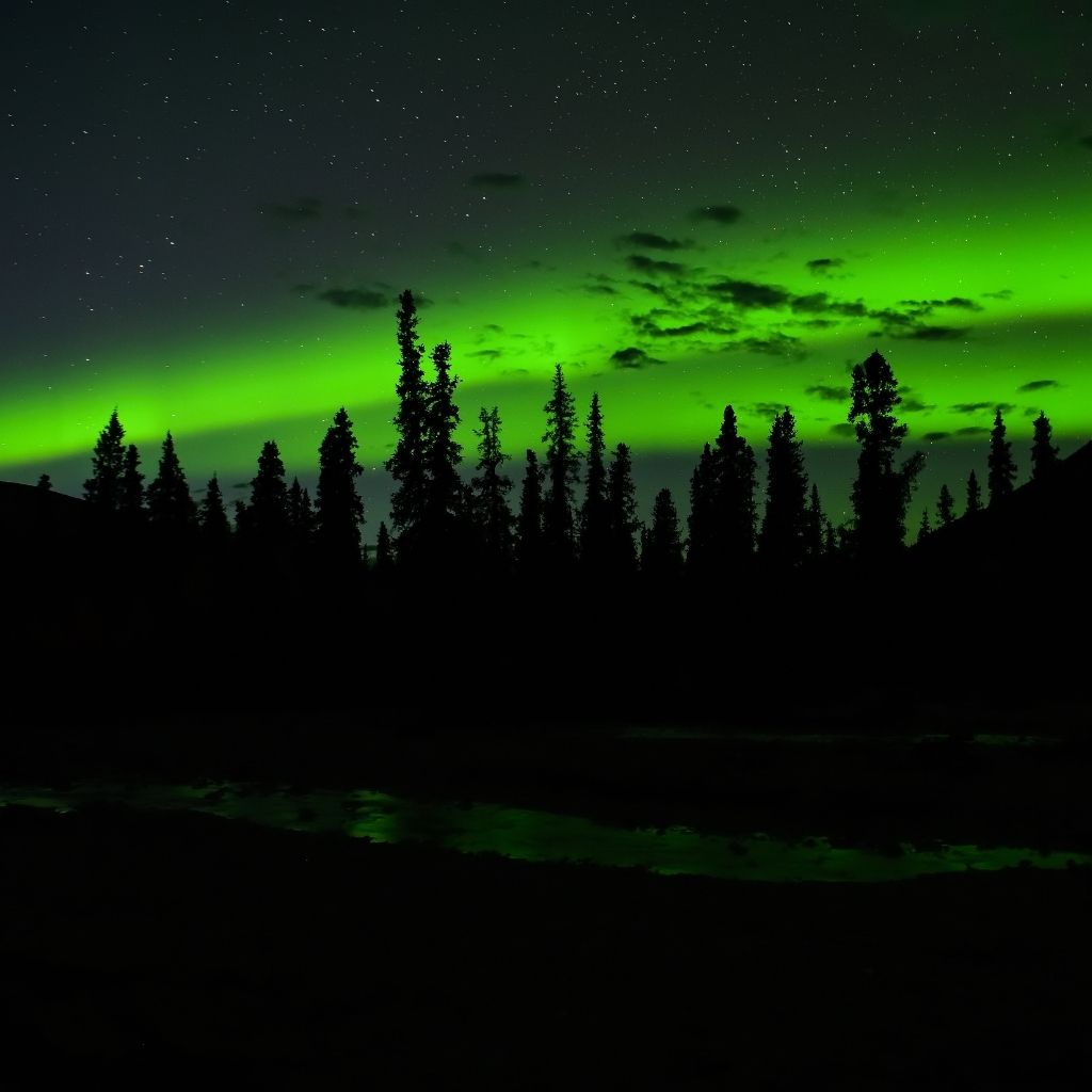 Northern Lights at Denali National Park