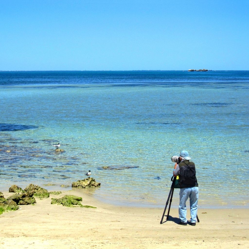 Penguin Island