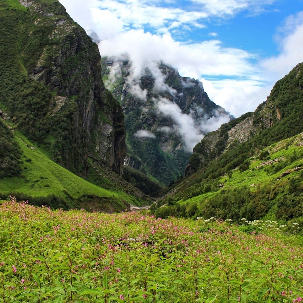 The valley of flowers trek in Uttarakhand