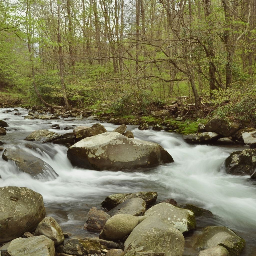 Oconaluftee River Trail in Cherokee and Smoky Mountains