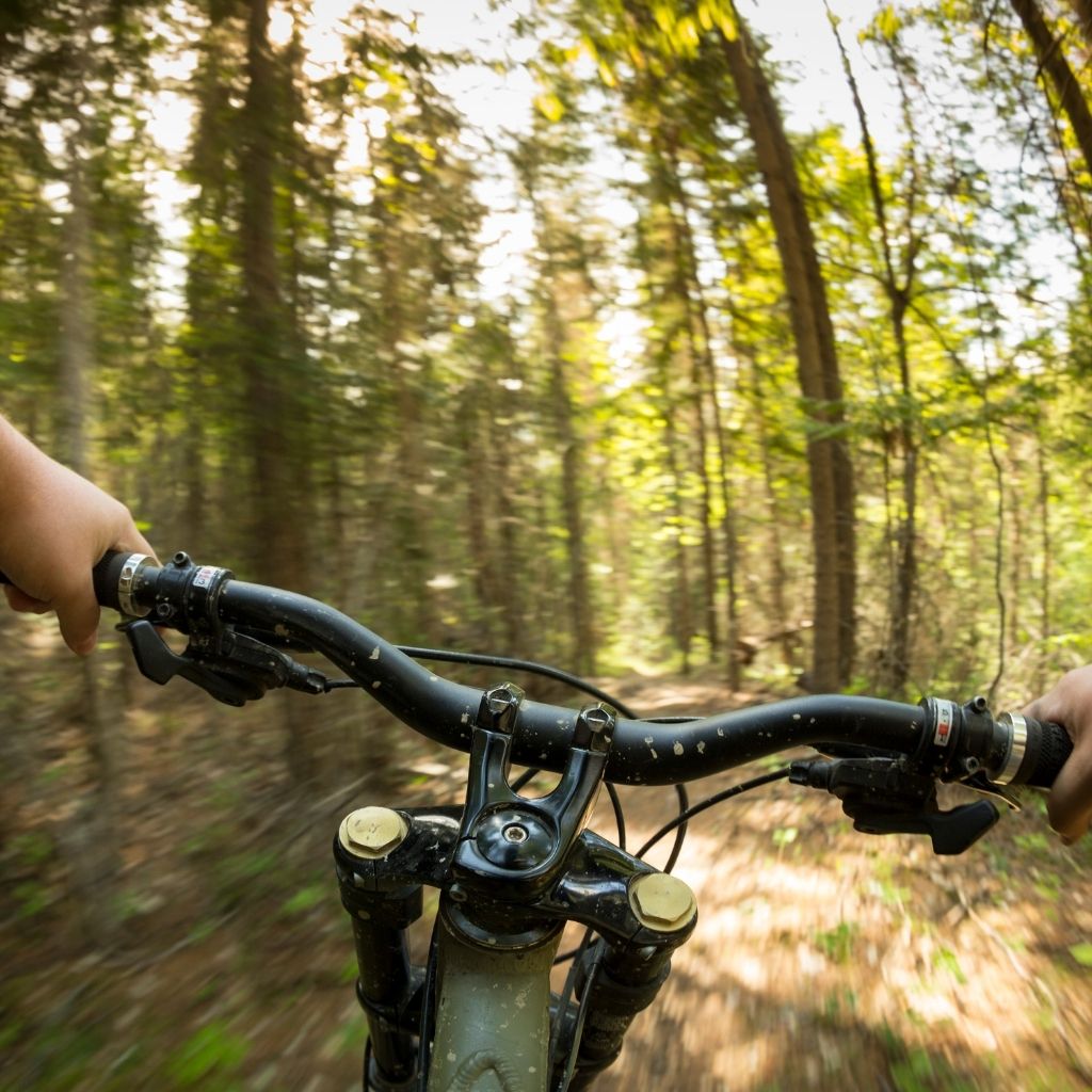 Tsali Recreation Area for biking in Cherokee