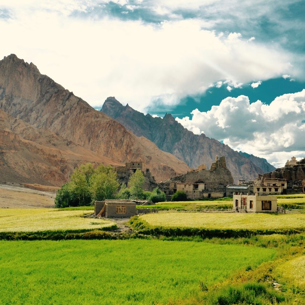 Markha Valley trek in Ladakh