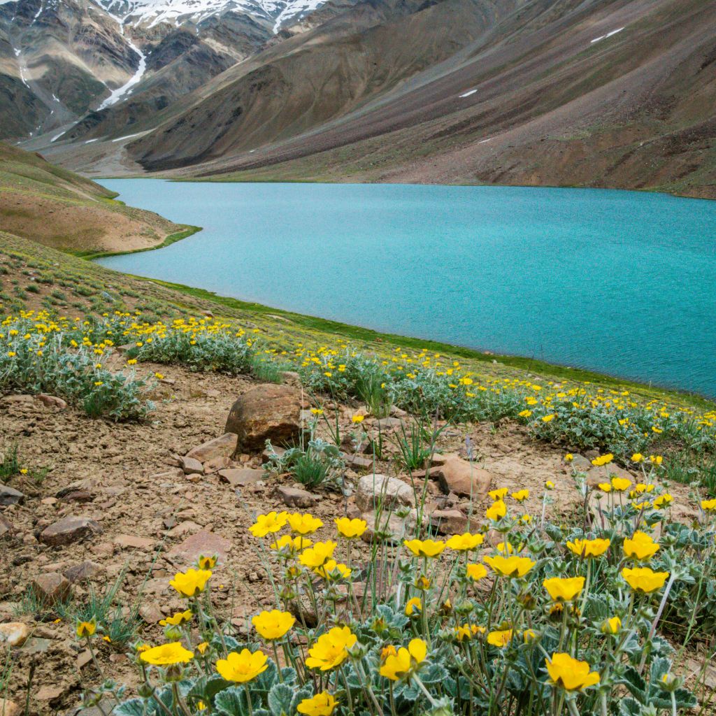 Chandra Taal Lake in the Himalayas