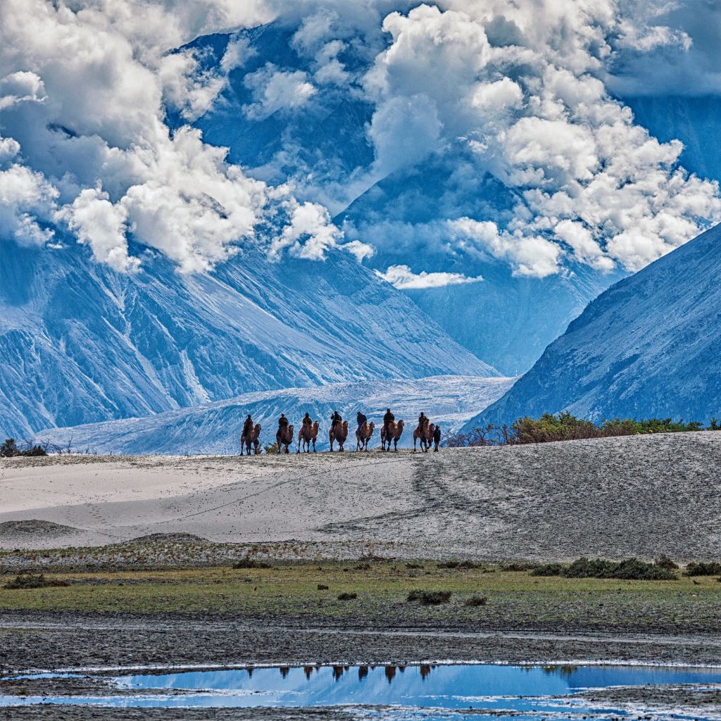 Camel ride in Nubra valley, Ladakh during September