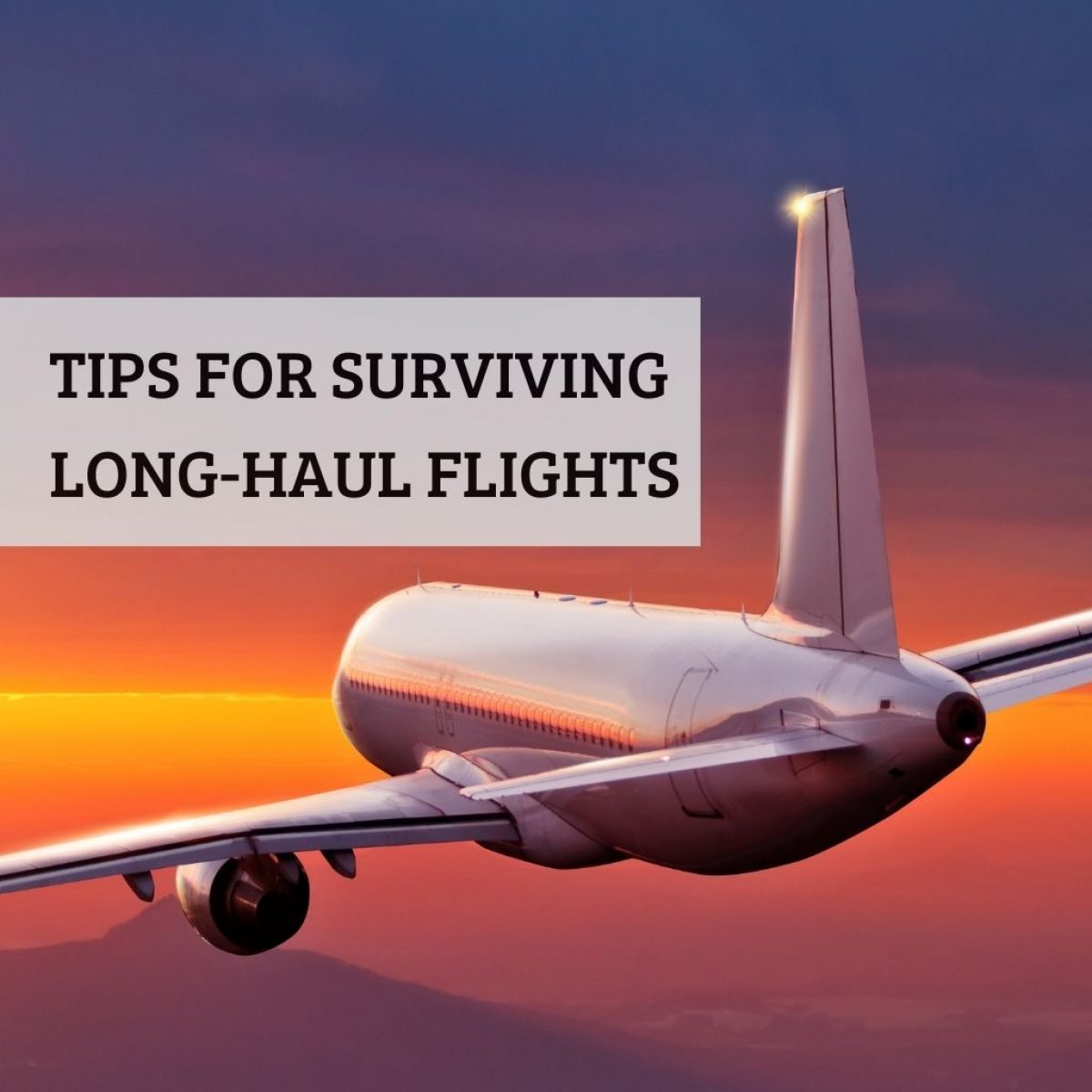 11 Tips for Surviving a Long-Haul Flight in Economy - Turuhi