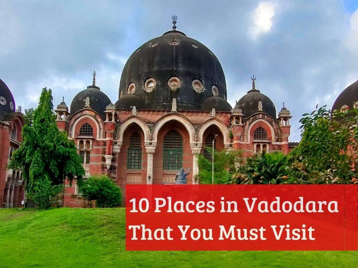 image not described image