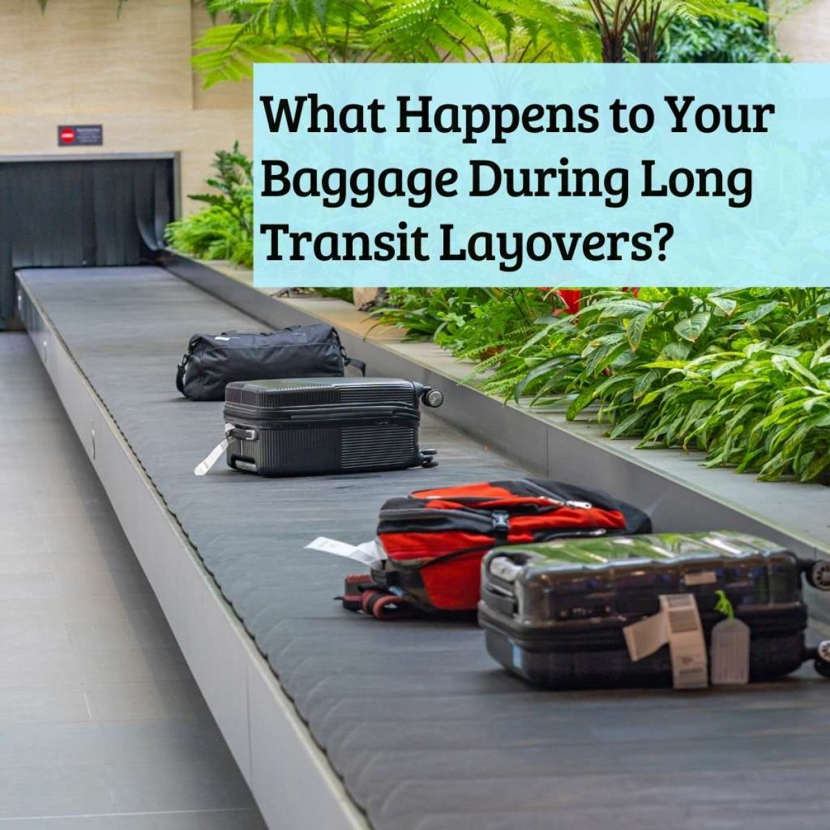 Do I need to check out luggage during layover?