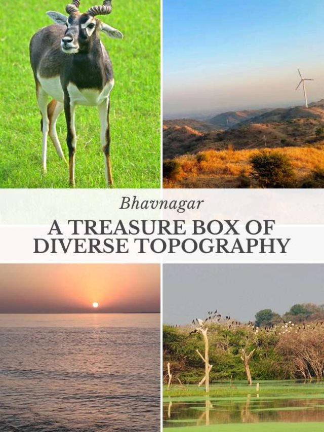 Treasure Box of Diverse Topography – Bhavnagar