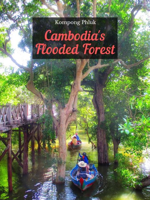 Cambodia – Rich Flora & Fauna of Nature
