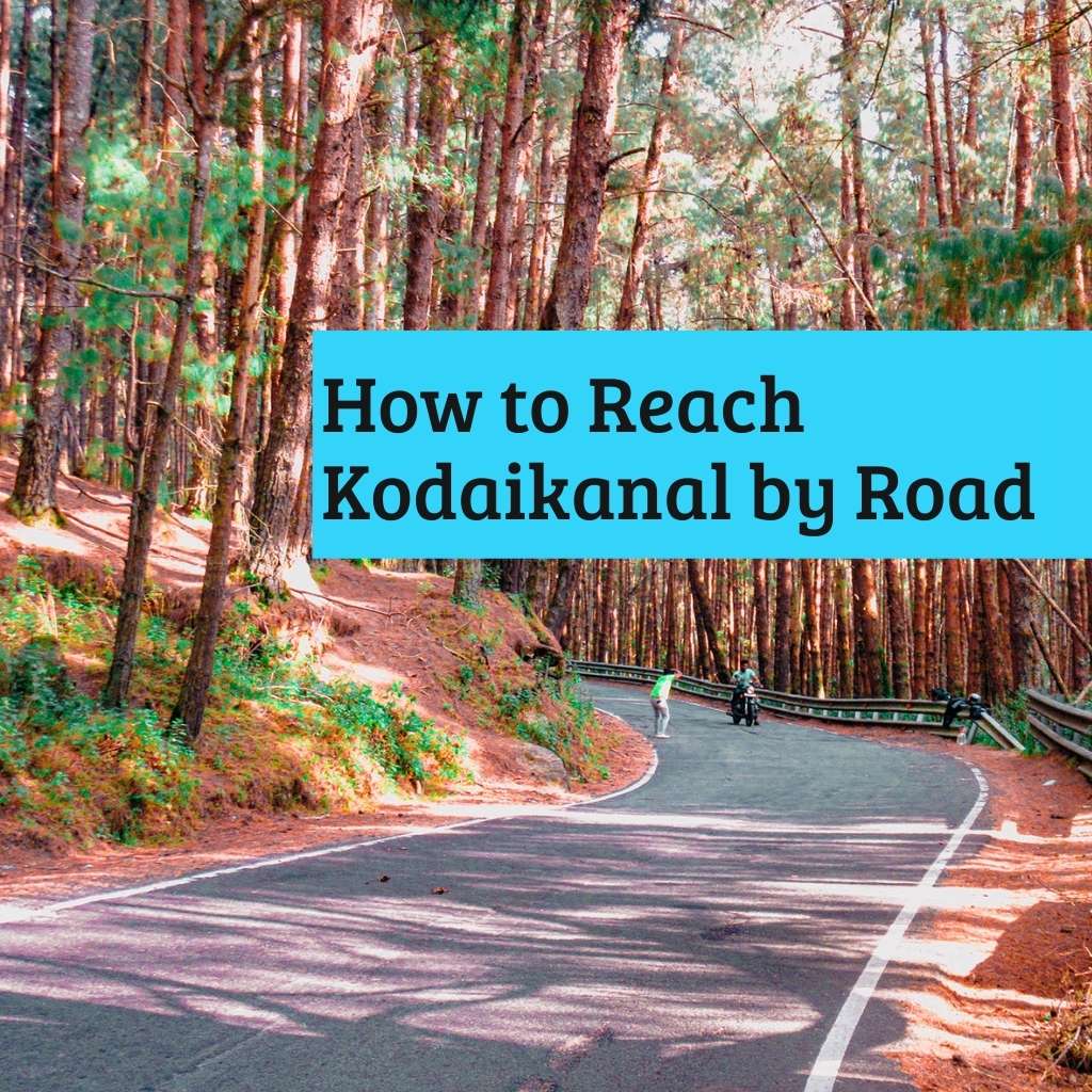 How to reach Kodaikanal by road trip