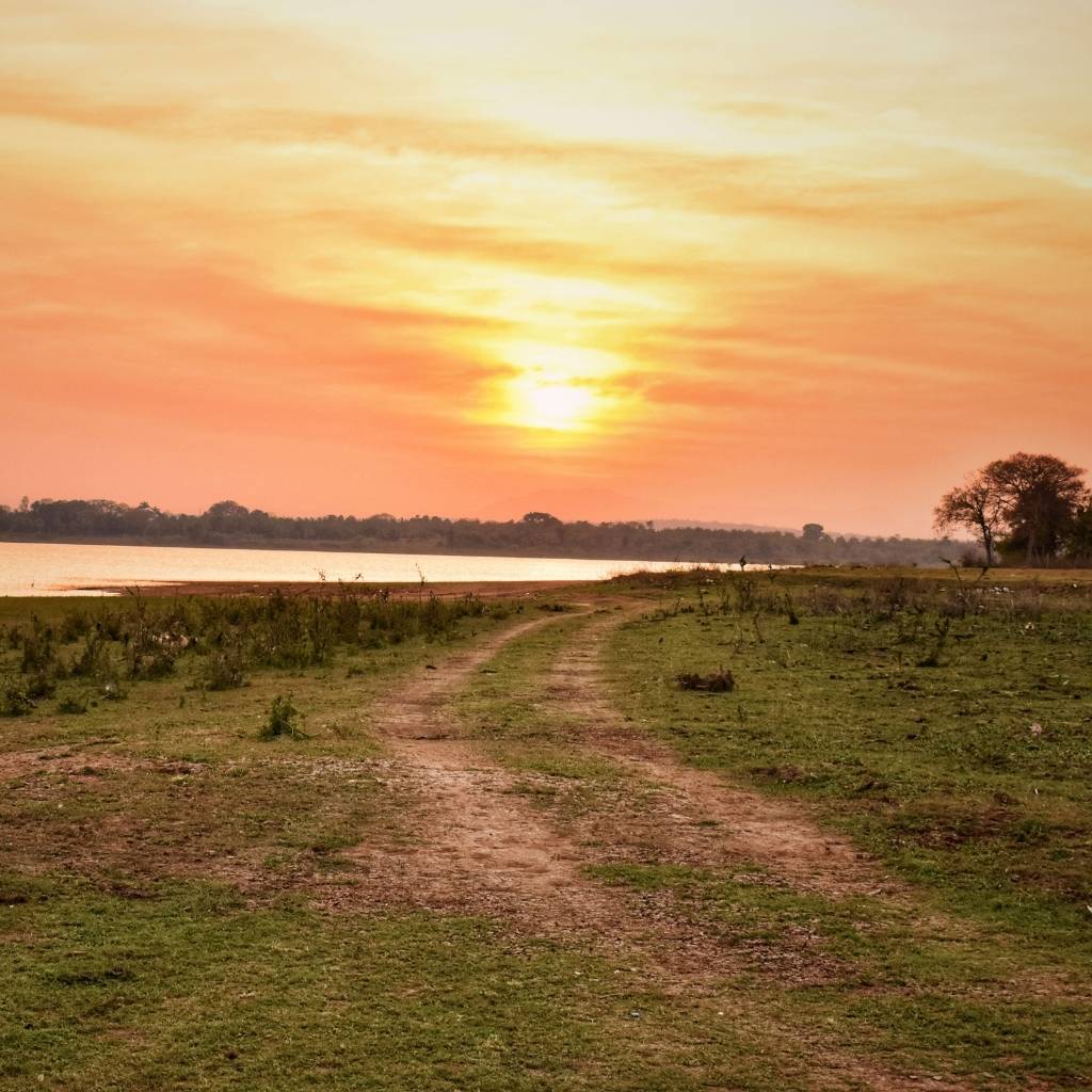 Nature walk in Kabini