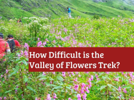 How-Difficult-is-the-Valley-of-Flowers-Trek-Turuhi