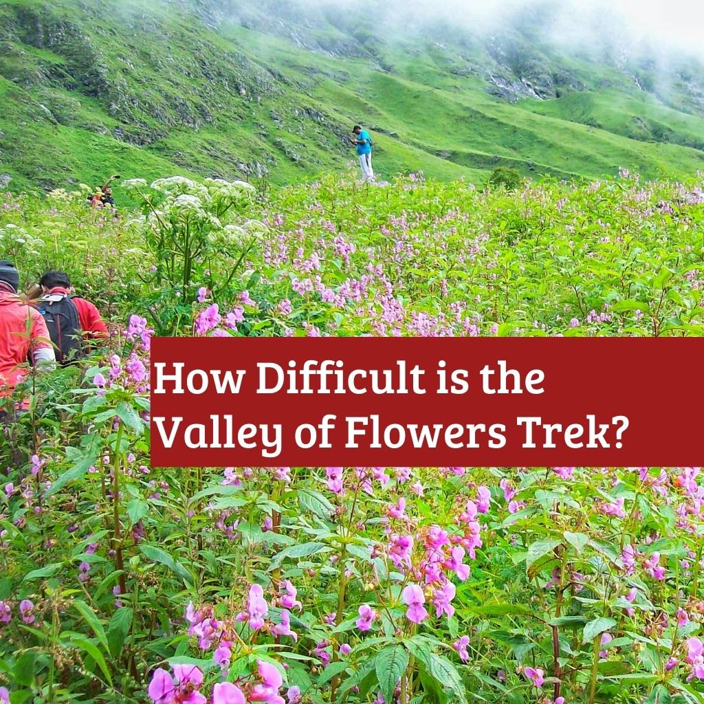 How Difficult is the Valley of Flowers Trek?