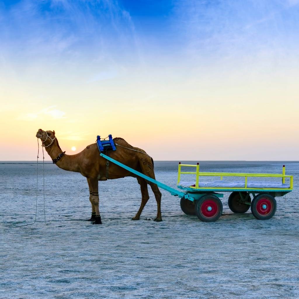 Mesmerizing sunset at White Rann of Kutch