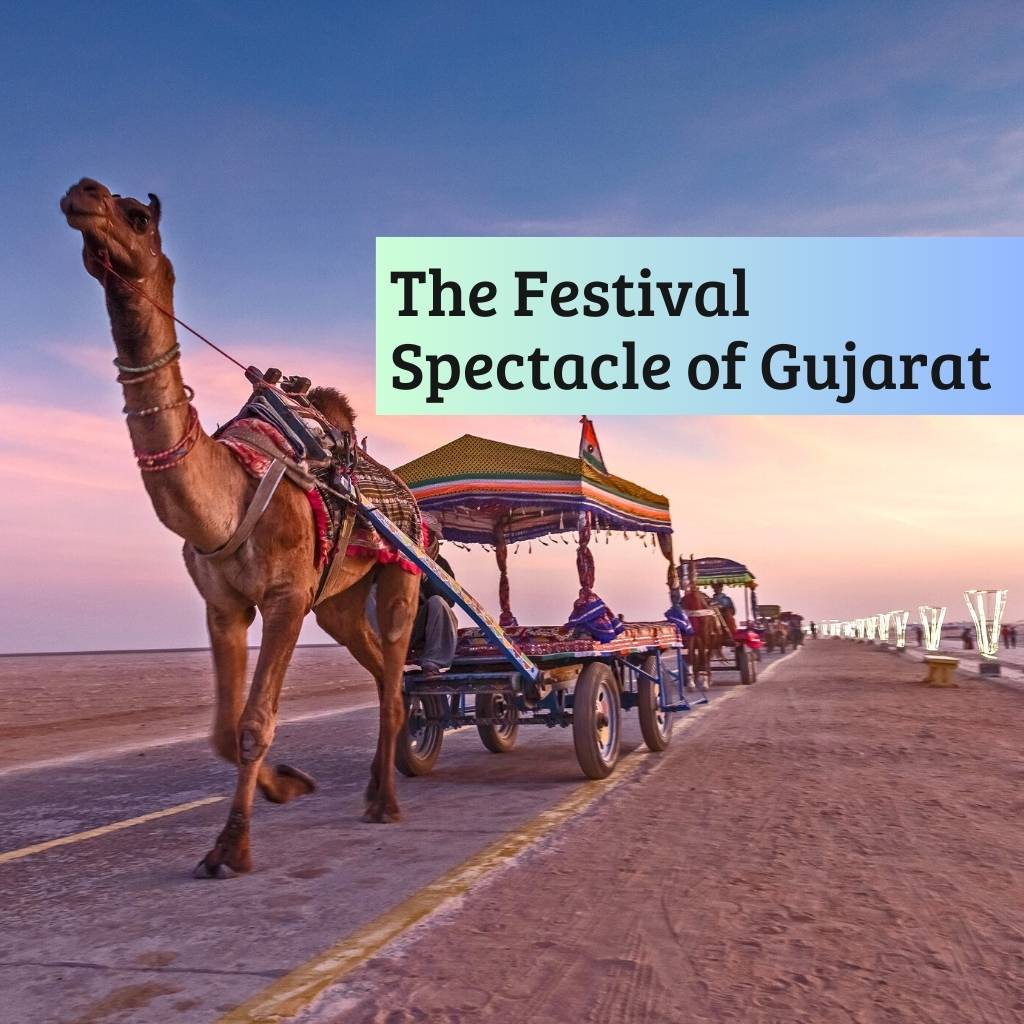 The festival spectacle of Gujarat