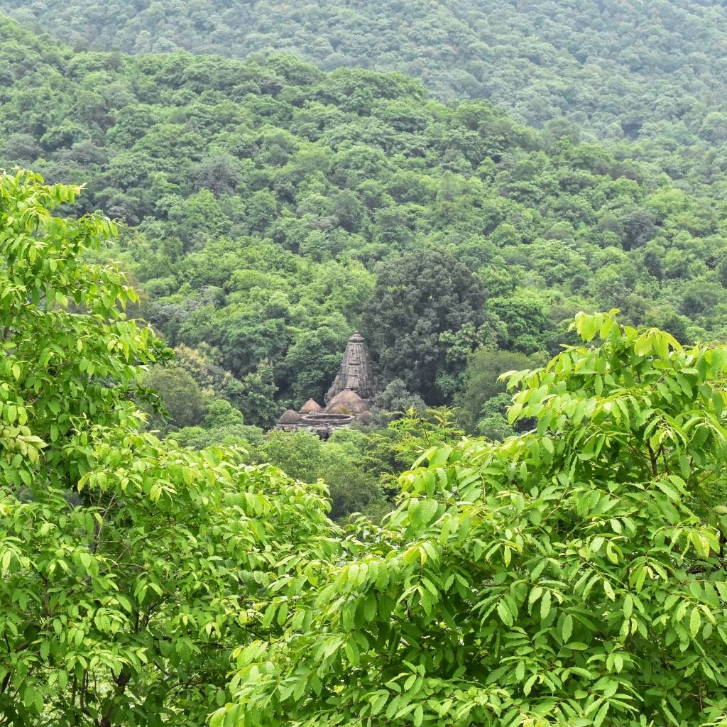 Mesmerizing landscape of Polo Forest near Idar