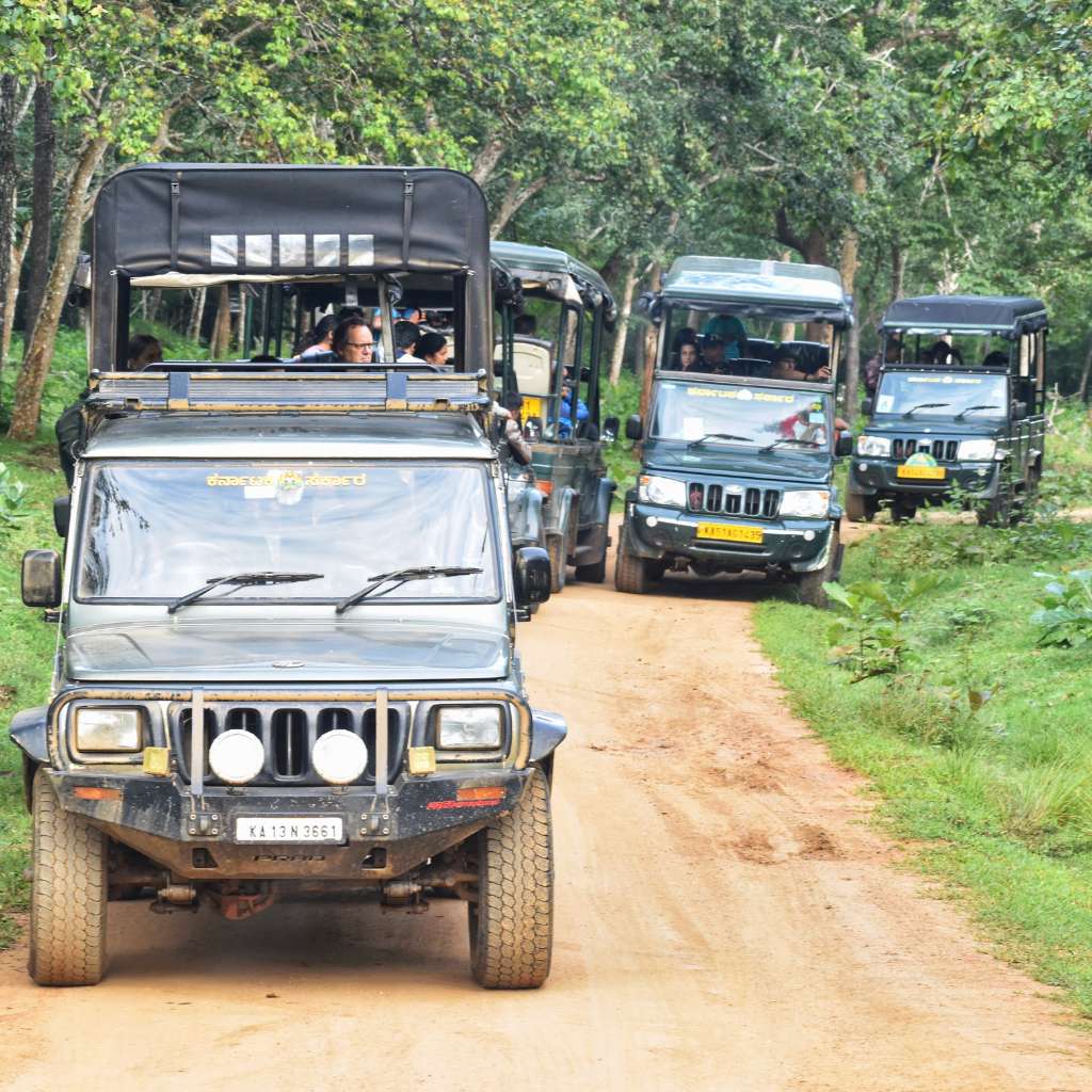 Jeep safari in Kabini is operated by Jungle Lodges and Resorts popularly known as JLR