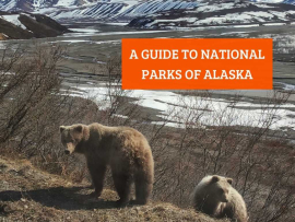 A-Guide-to-National-Parks-of-Alaska-Turuhi
