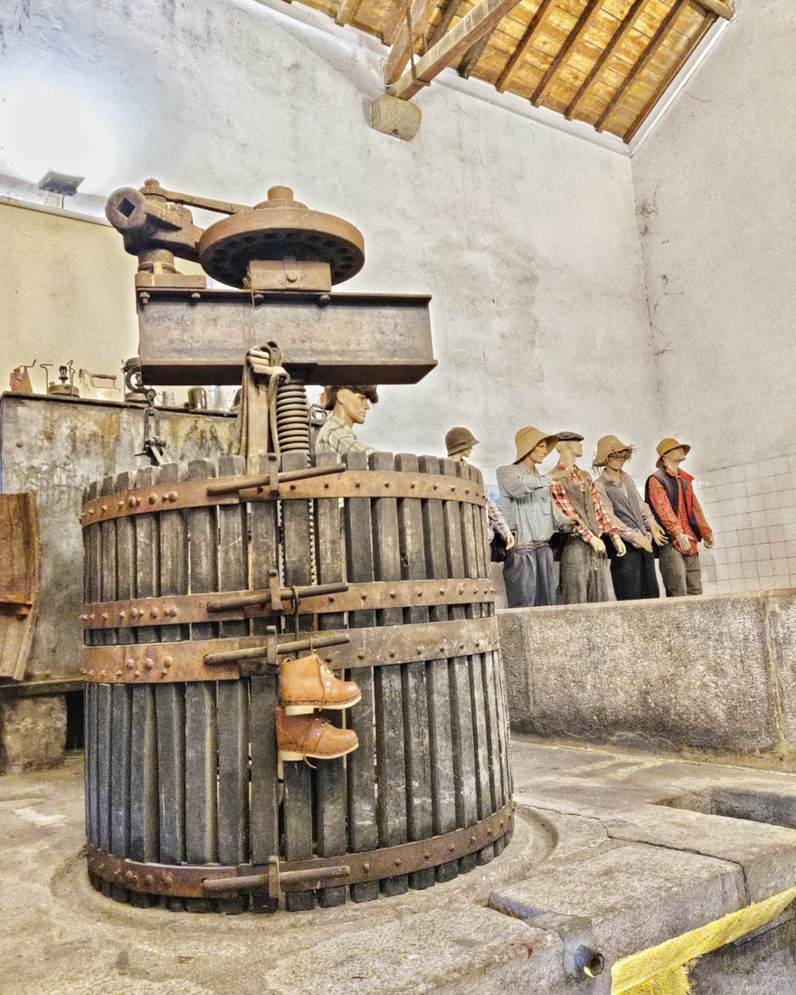 Some of the essential wine making machinery on display
