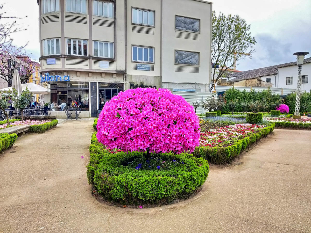 The flowers that adorn the Braga town square makes it a very vibrant place