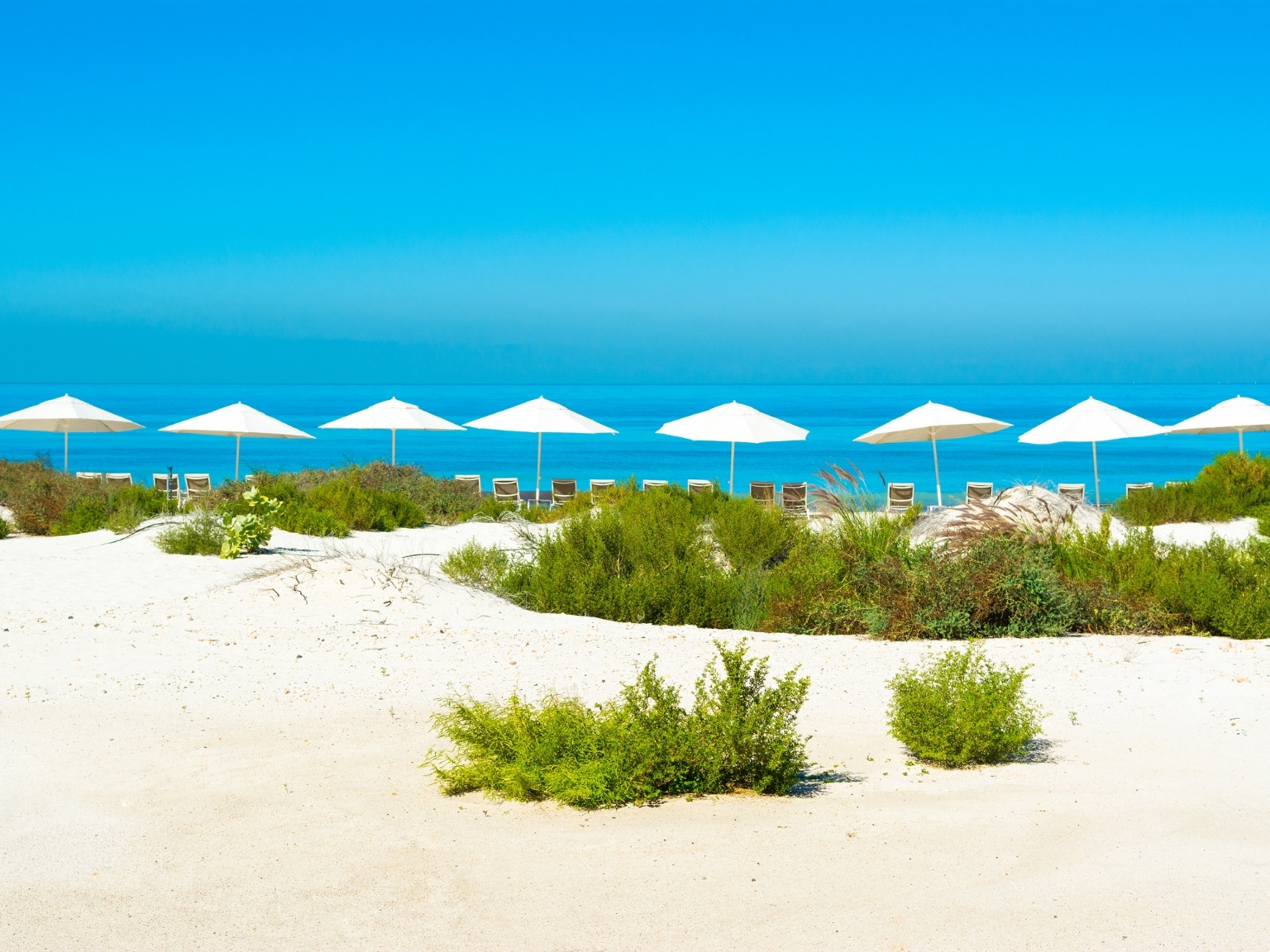 Saadiyat Beach Club in Abu Dhabi is a place to chill and unwind with family