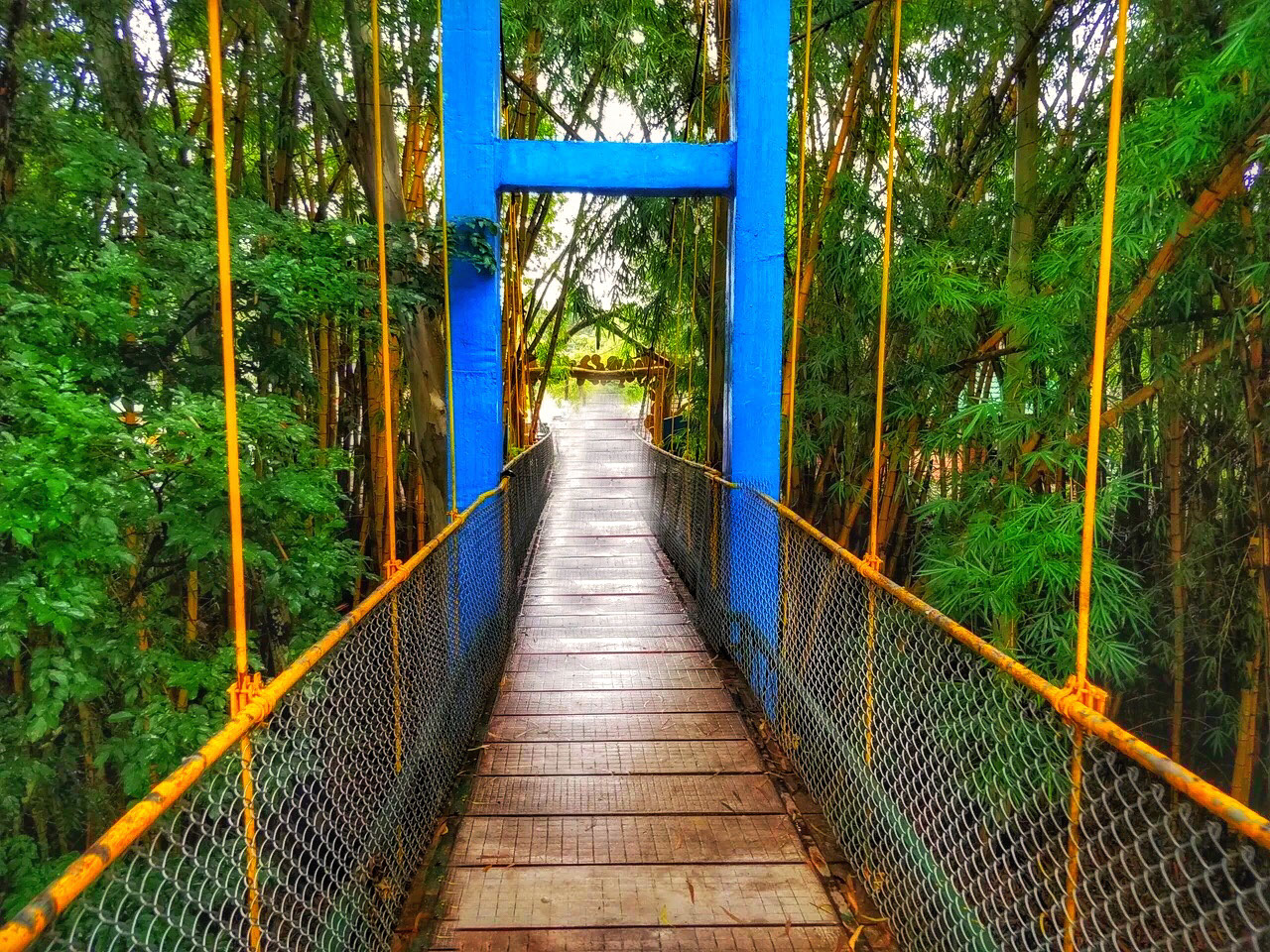 Enter Nisargadhama through a newly built suspension bridge