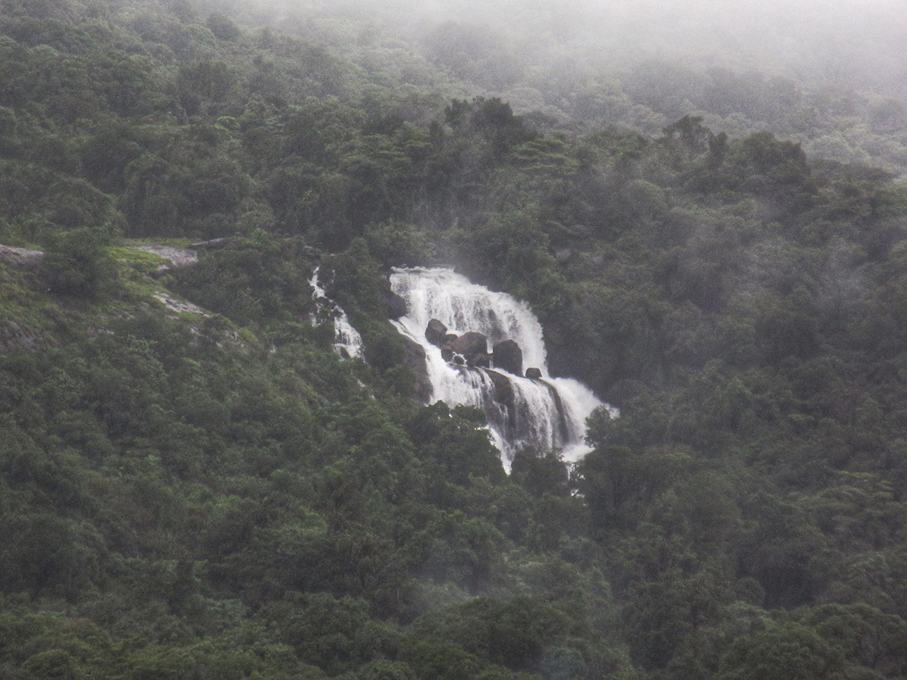 Milky white water of Onti falls cascade with a roar while you trek to Kotte Betta in Coorg.