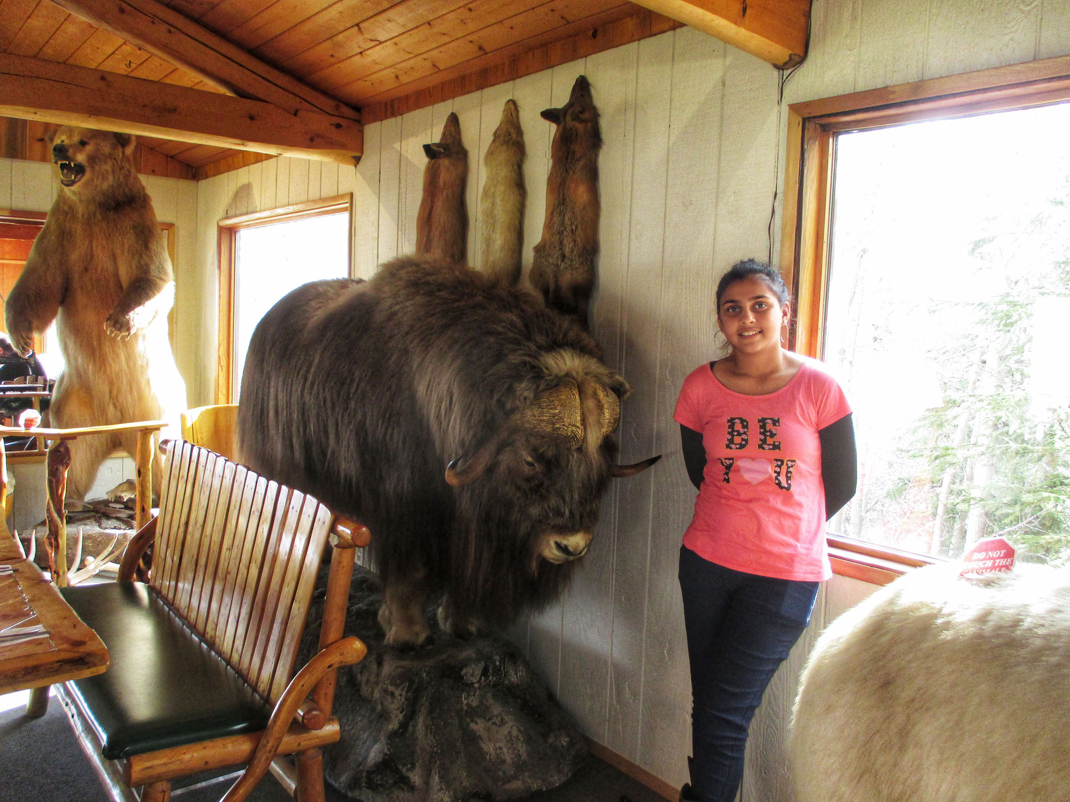 The interior of Long Rifle Lodge restaurant with stuffed animals at Matanuska Glacier Alaska