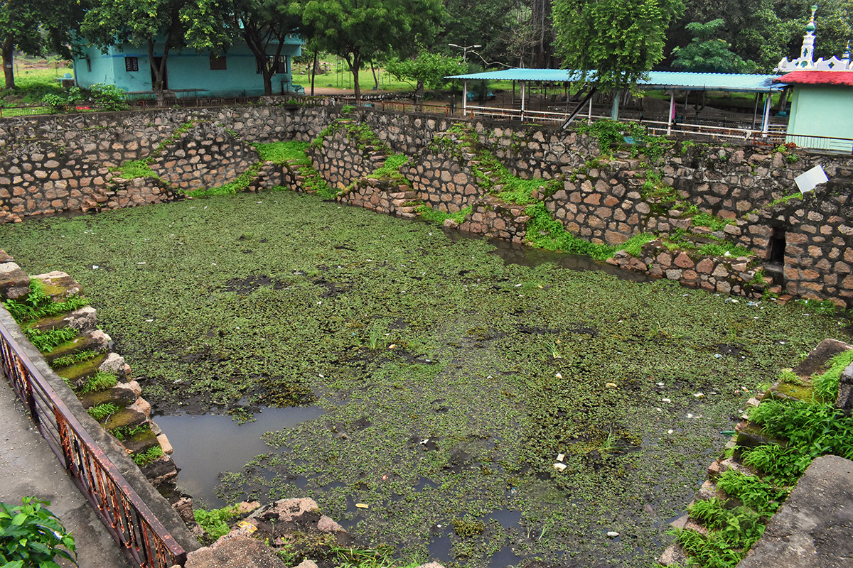 Veni Vachh Raj Pond, also known as "Patal Kund" with Tadhodi vegetation on Idariyo Gadh