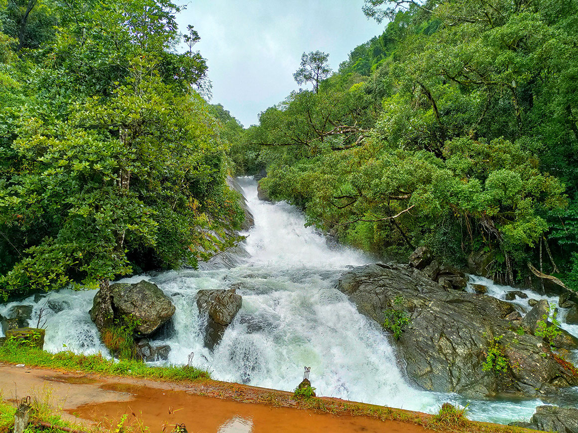 Surlabbi Falls emerging from the lush greenery is a hidden place to visit in Somwarpet