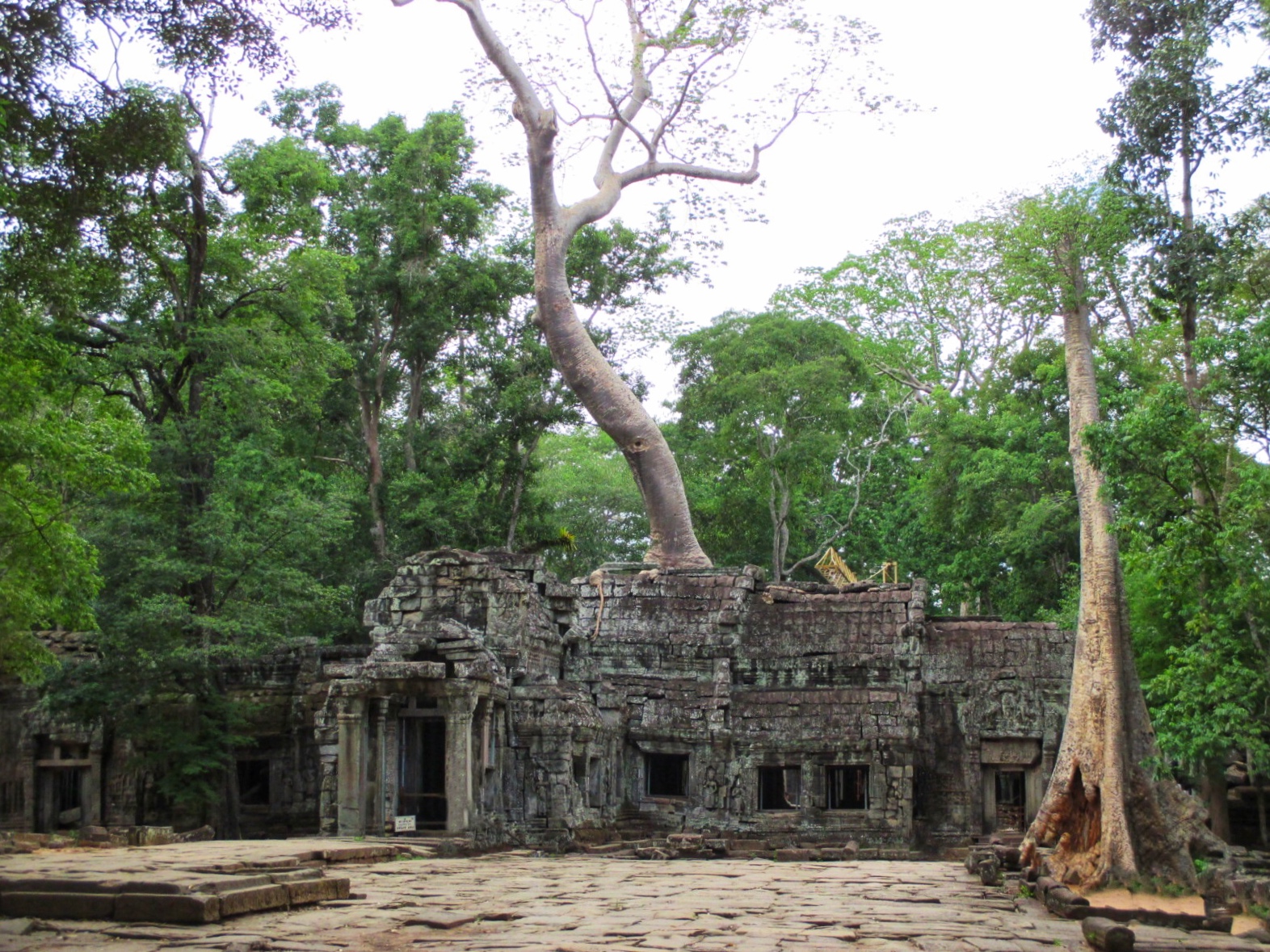The front view of Ta Prohm from outside the main entrance in Siem Reap