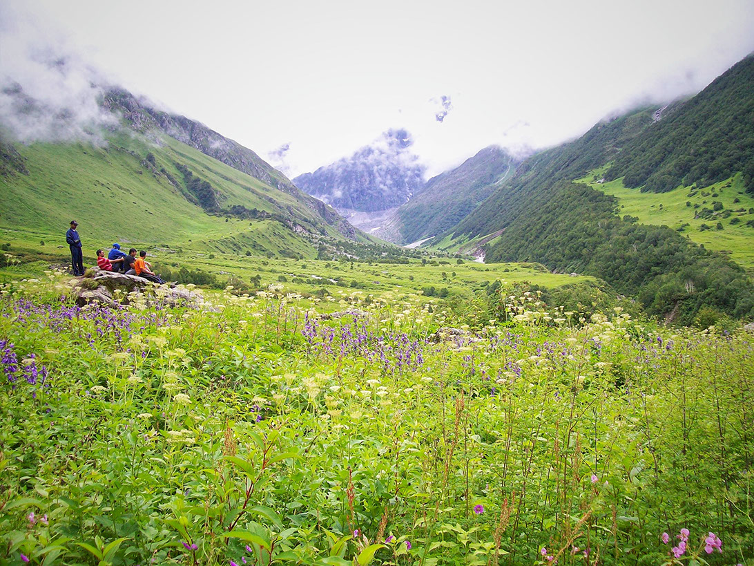 A bunch of trekkers enthralled in the beauty of flower valley 