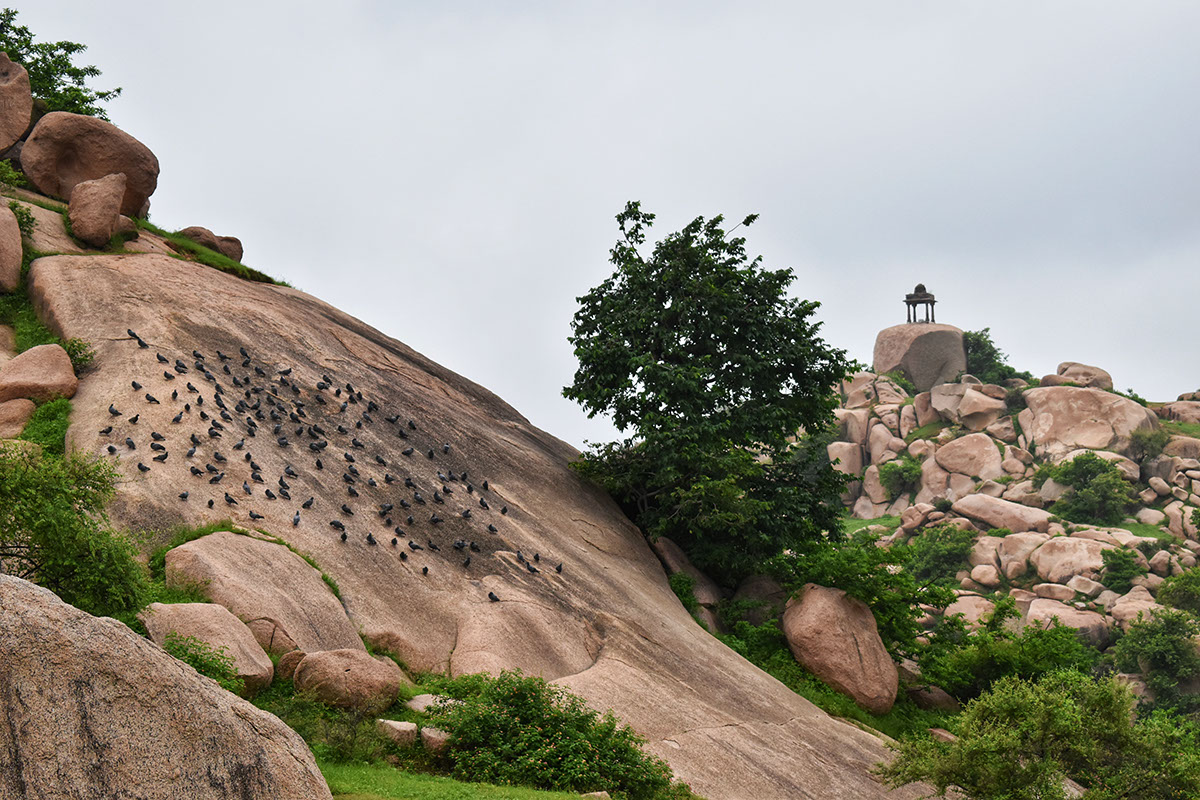 An imposing rock formation, "Pavan Pavadi" is like a watchtower in Idar, Gujarat