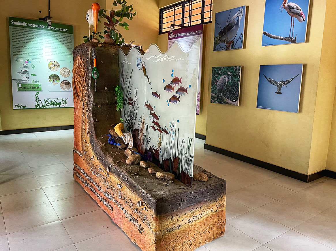 Exhibit hall of Nature Interpretation Center in Kokkare Bellur