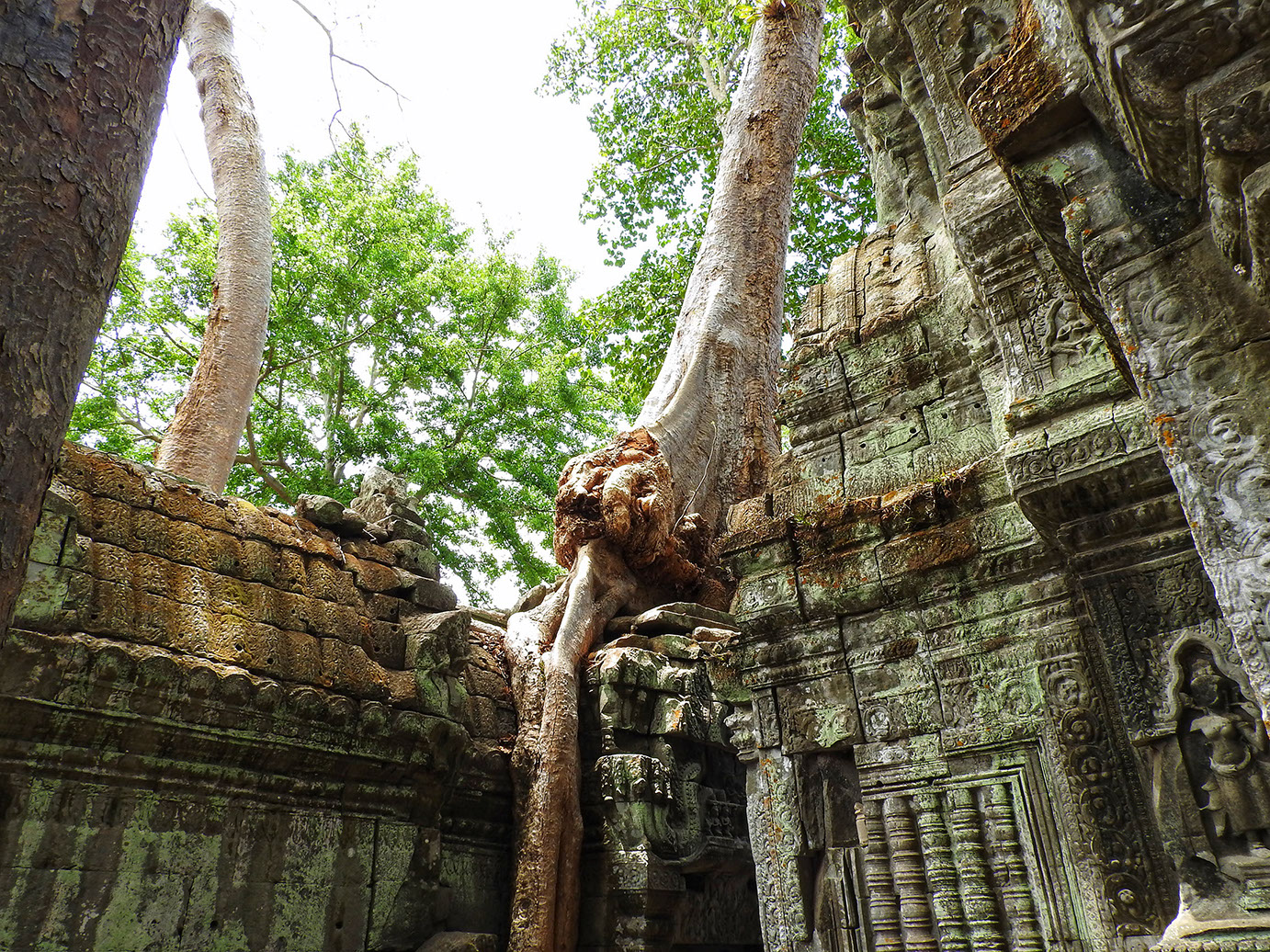 Intricate bas-relief depictions in Ta Prohm similar to Angkor Wat