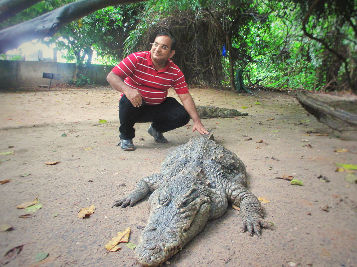Picture with a Crocodile at Kachikally Crocodile Pool in Banjul Gambia