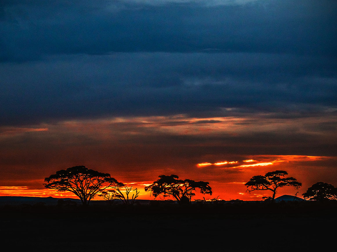 A stunning panoramic view of Maasai Mara at dusk