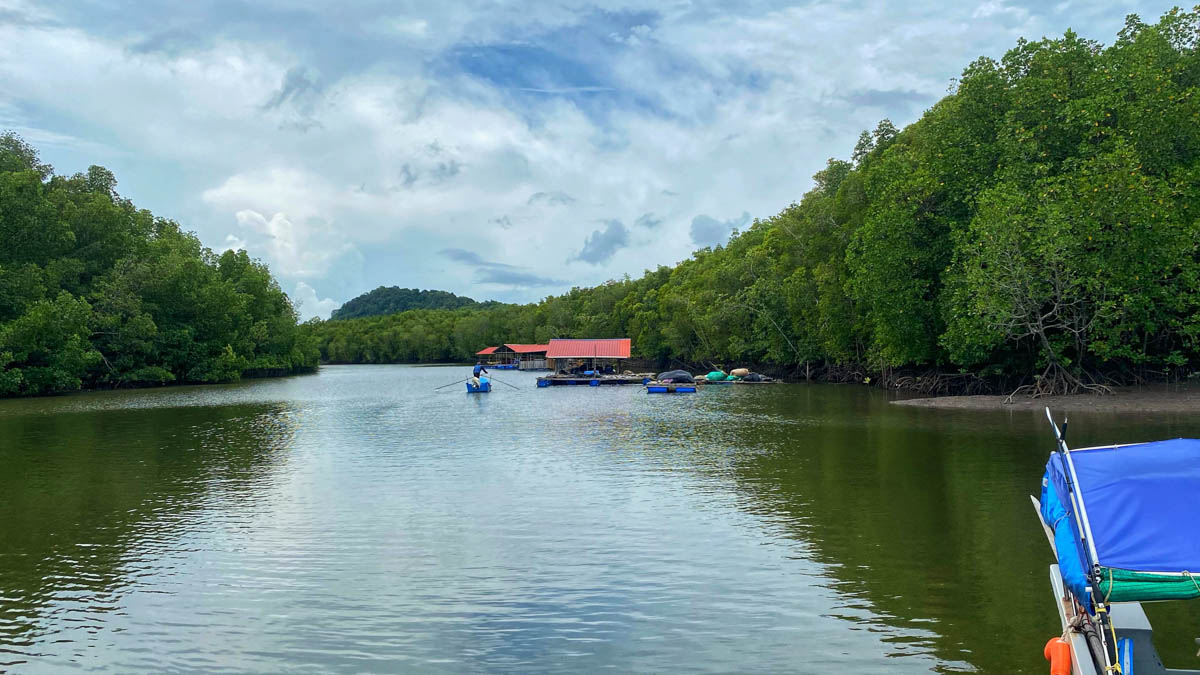 A river surrounded by mangroves at Kubang Badak Geopark offers stunning views