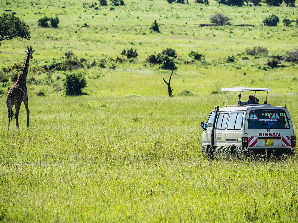 Kombi Safari, the perfect vehicle for a safari in Maasai Mara